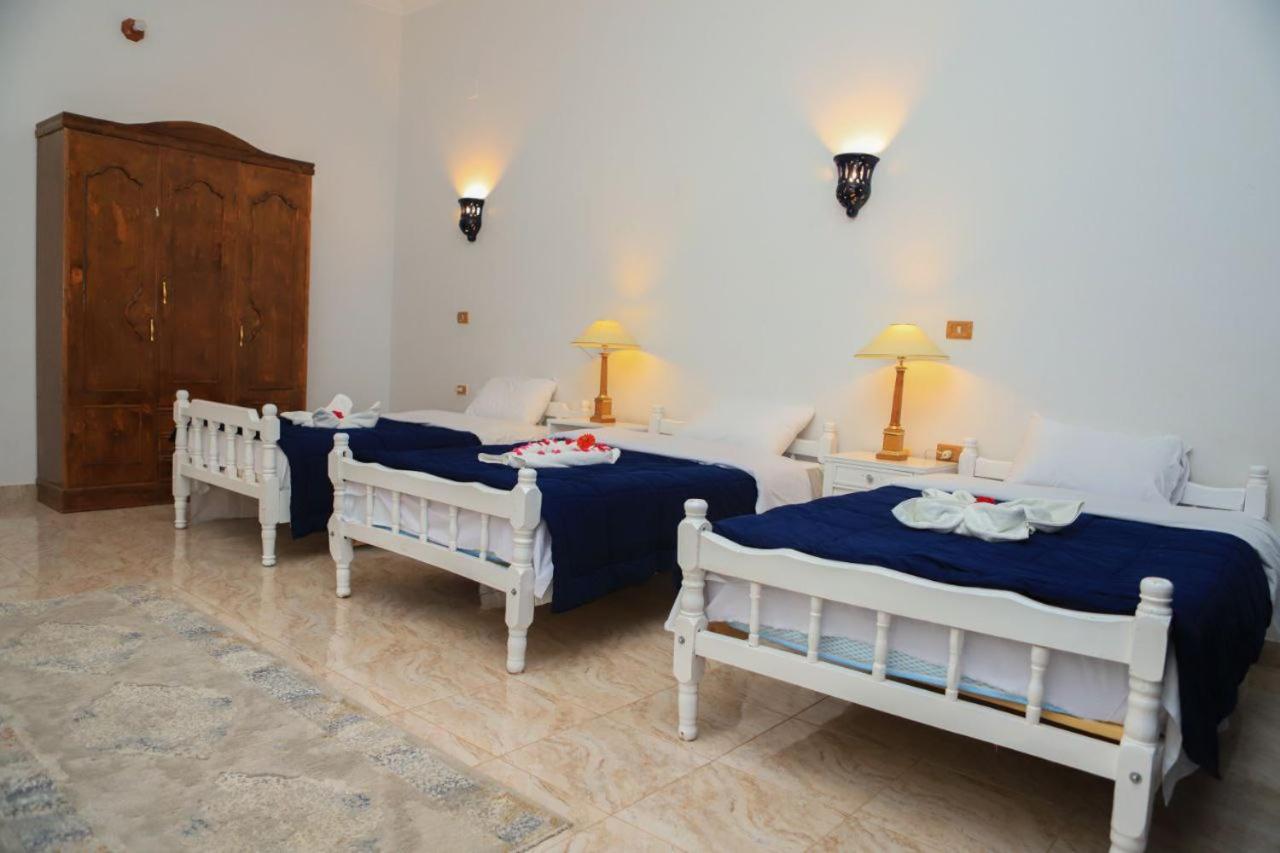 Luxor Oasis Guest House Eksteriør bilde