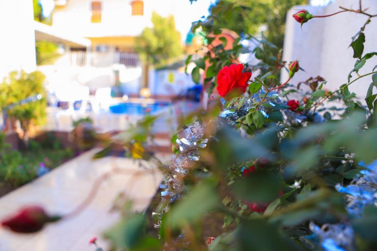 Luxor Oasis Guest House Eksteriør bilde